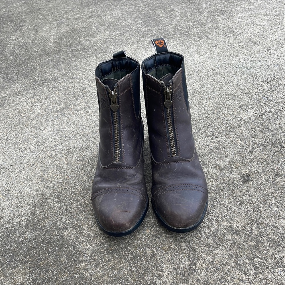 Ariat Paddock boots